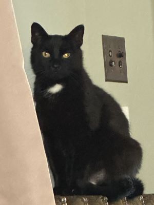 Sylvia on a radiator