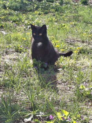Sylvia outside