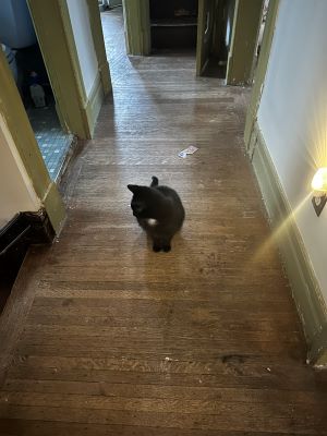 Sylvia in the hallway
